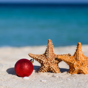 Luxury beaches with scenic views at Charlestons best locations.