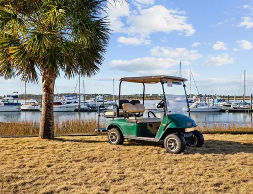 Folly Beach Adventures: Family-Friendly Fun on the Coast