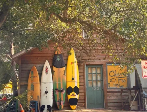 Top Folly Beach Boat Tours: Dolphin Watching, Sunset Cruises & More