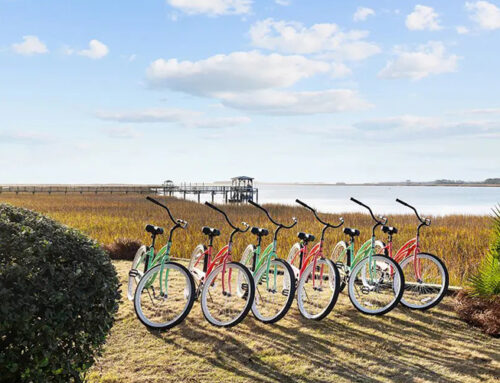 What to Do in Folly Beach: Outdoor, Indoor & Family Activities
