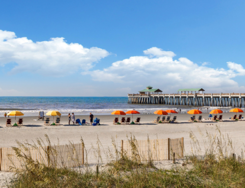 Exploring Folly Beach County Park: Activities, Amenities, and More