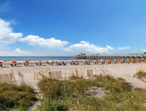 Stay by the Sand to Enjoy Top Folly Beach SC Activities