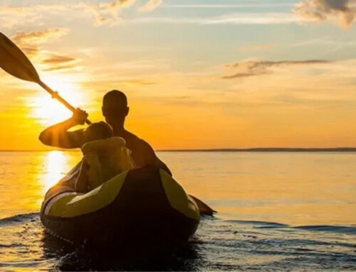 Best Places to Go Kayaking Near Folly Beach, SC